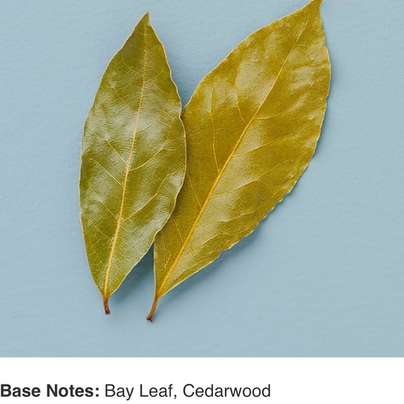 Large YANKEE CANDLE Cinnamon Stick 22 oz - Picture 5 of 12